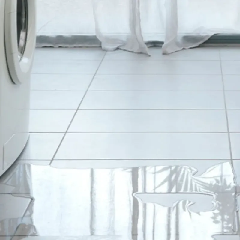 Appliance Leak Cleanup in Menominee, MI