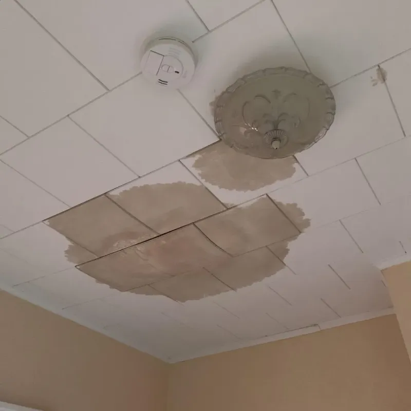 Ceiling Water Damage Repair in Menominee, MI