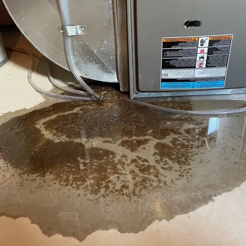 Pipe Burst and Leak Restoration in Menominee, MI